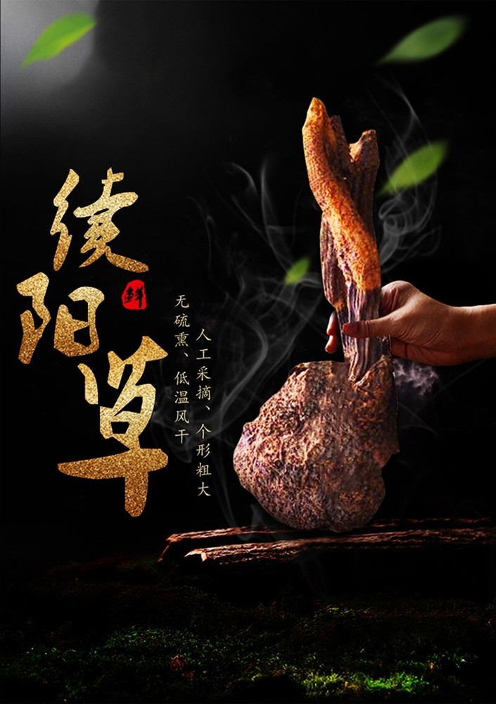 Pure Natural Increased Male Sexual Function 续阳草锁阳回春草250g（2根）【泡酒佳品】