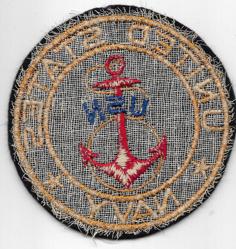 United States Navy PX Type Patch