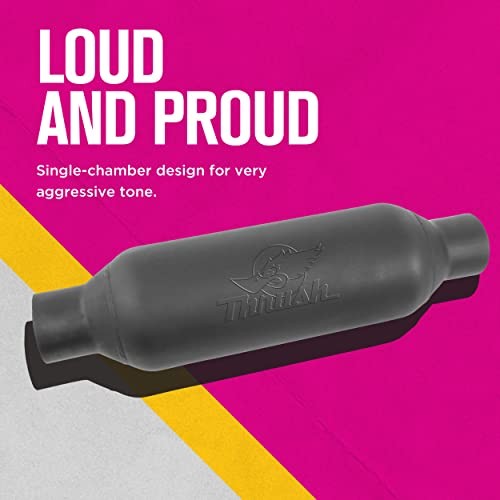 24253 Exhaust Muffler