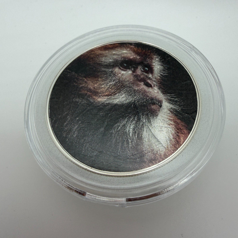 Curious Monkey - American Silver Eagle 1oz Limited Silver Dollar Coin