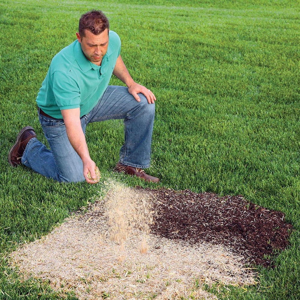 Seeding Mulch with Tack - Biodegradable Processed Straw, 2.5 cu. ft. Bale (Co...