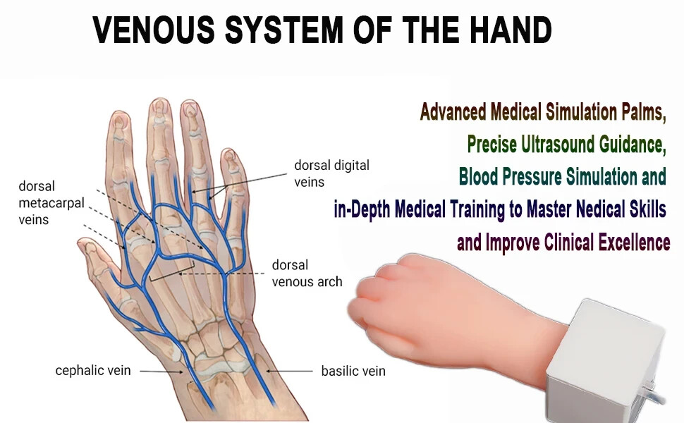 Advanced Medical Simulation Palms Precise Ultrasound Guidance Simulator 1 hand