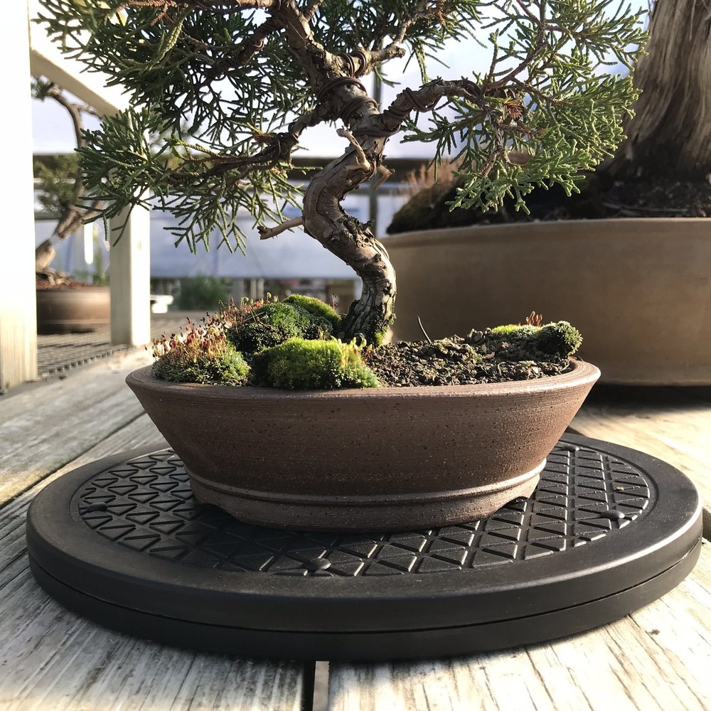 Bonsai Tree Turntable 360 Degree Rotating Display Base