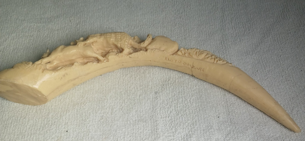 WARTHOG TUSK Resin Carving Replica SIGNED