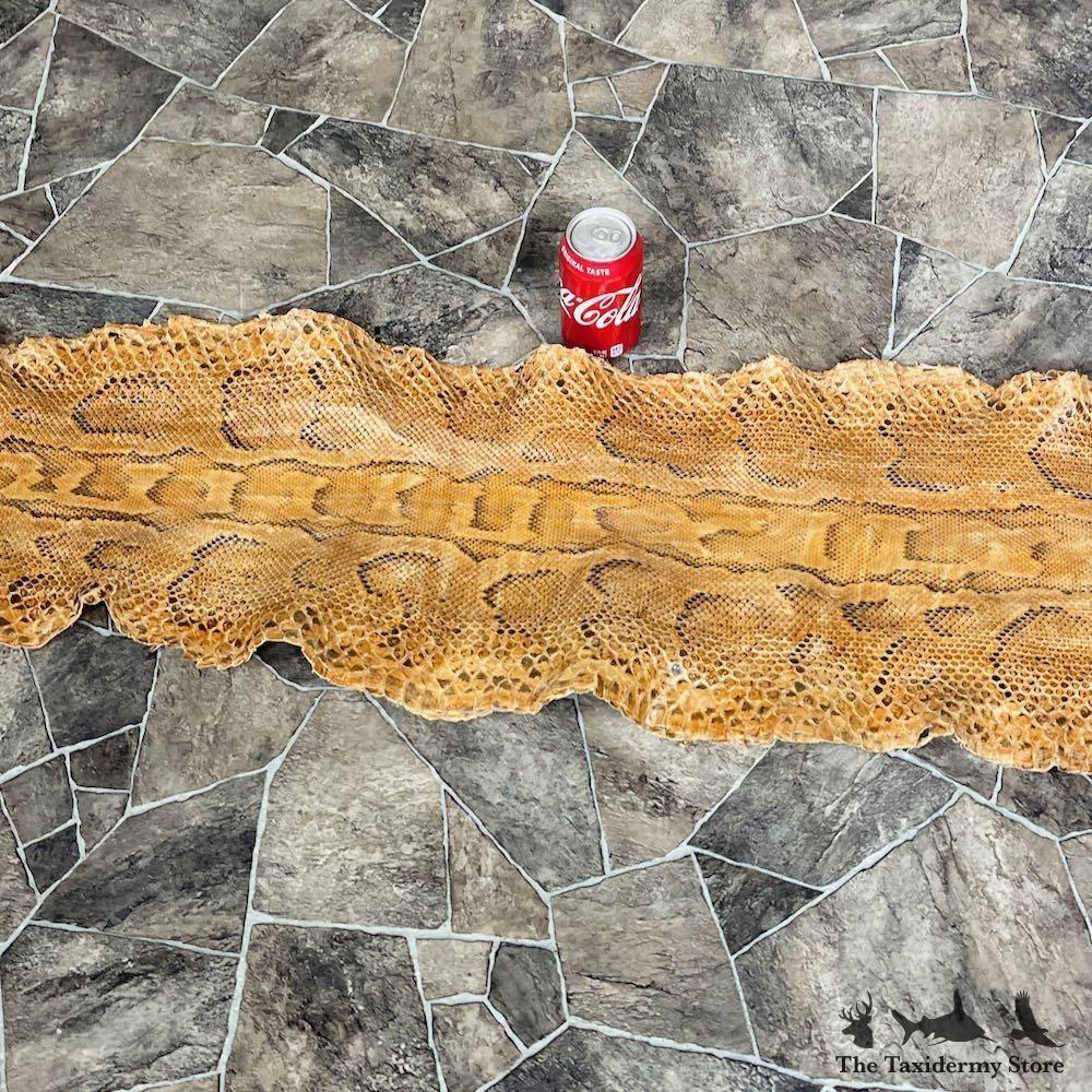 #26283 E | African Rock Python Snake Skin Rug Mount For Sale