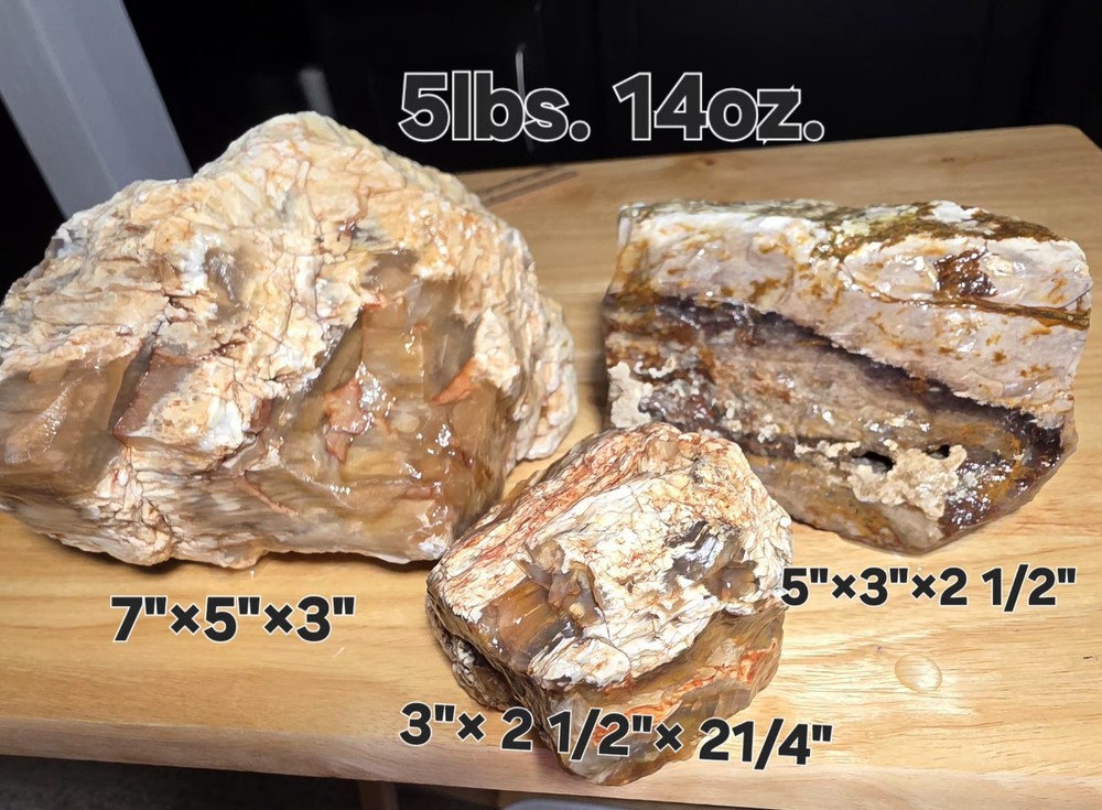 agatized petrified wood 3pc. Lot