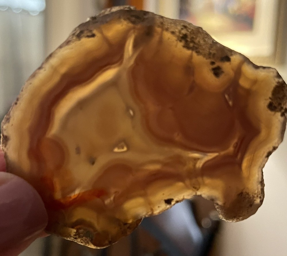 Agate Slice Natural Brown 14g