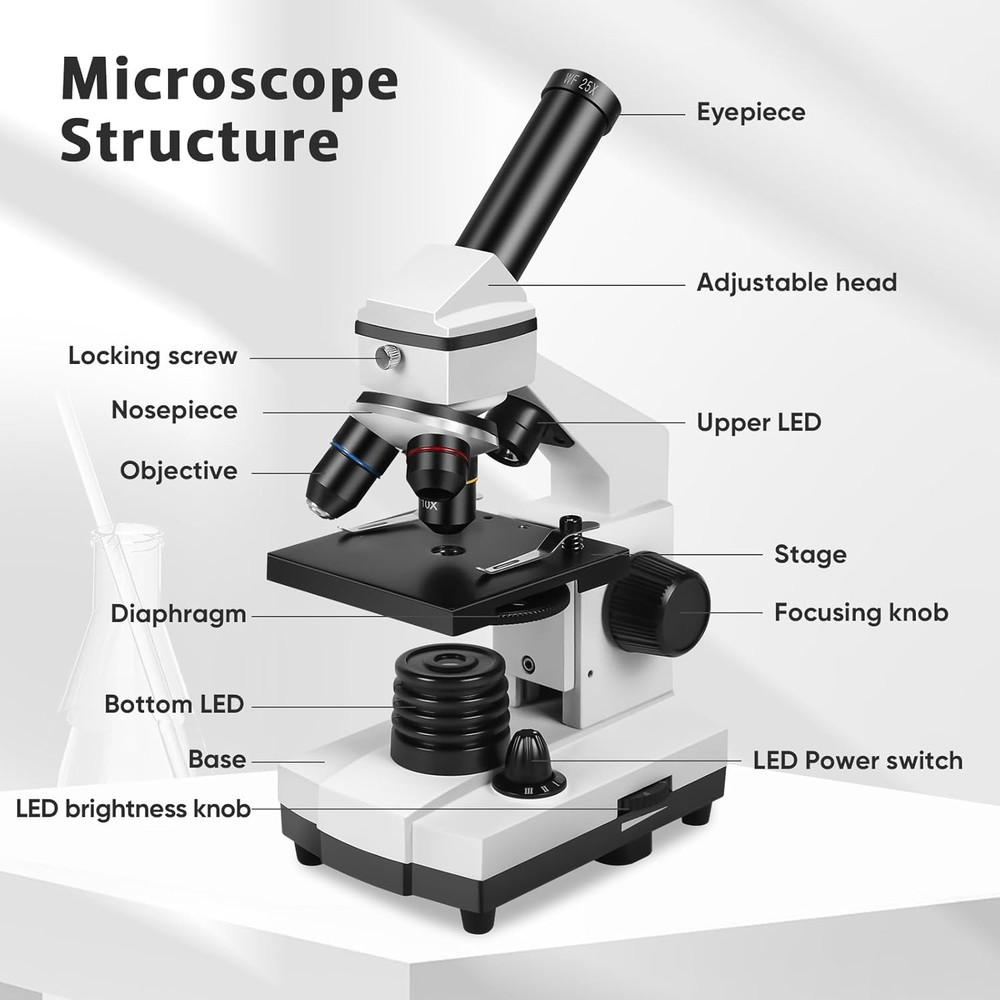 100X 2000X Compound Microscope for Kids with Slides