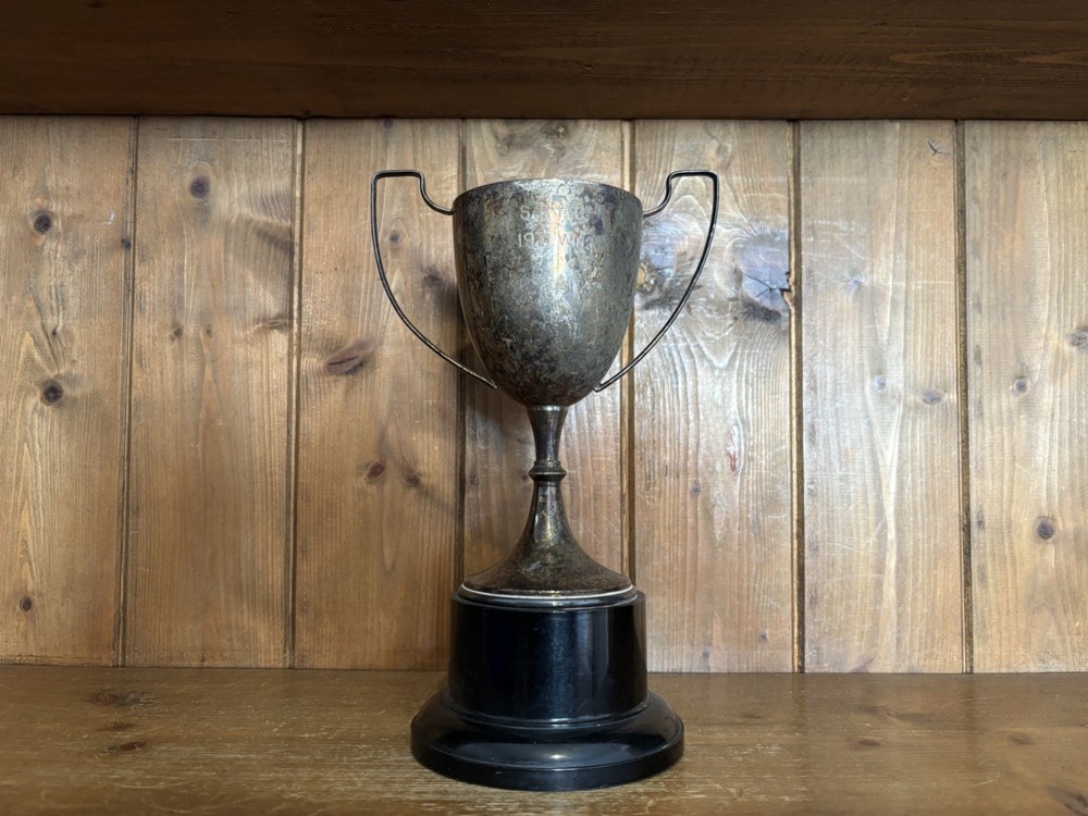 Medium vintage silver plate trophy, loving cup, trophies, trophy