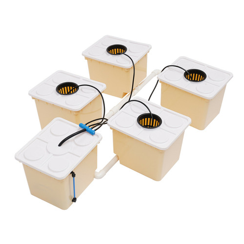 Hydroponics Deep Water Culture Hydroponic System DWC buckets Drip Growing System