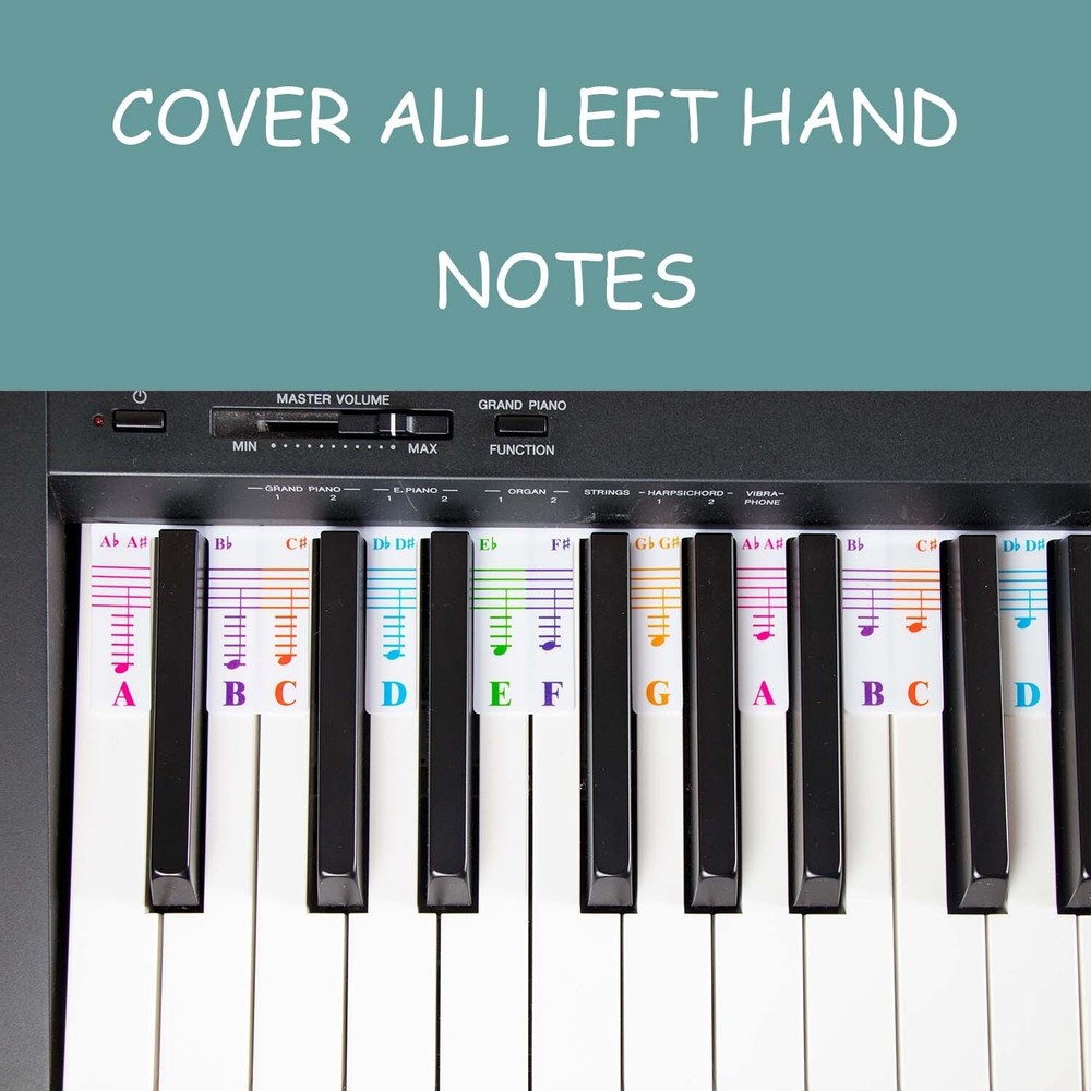 88 Key Full Size Piano Rake Key, Colorful Piano Keyboard Notes for Beginner