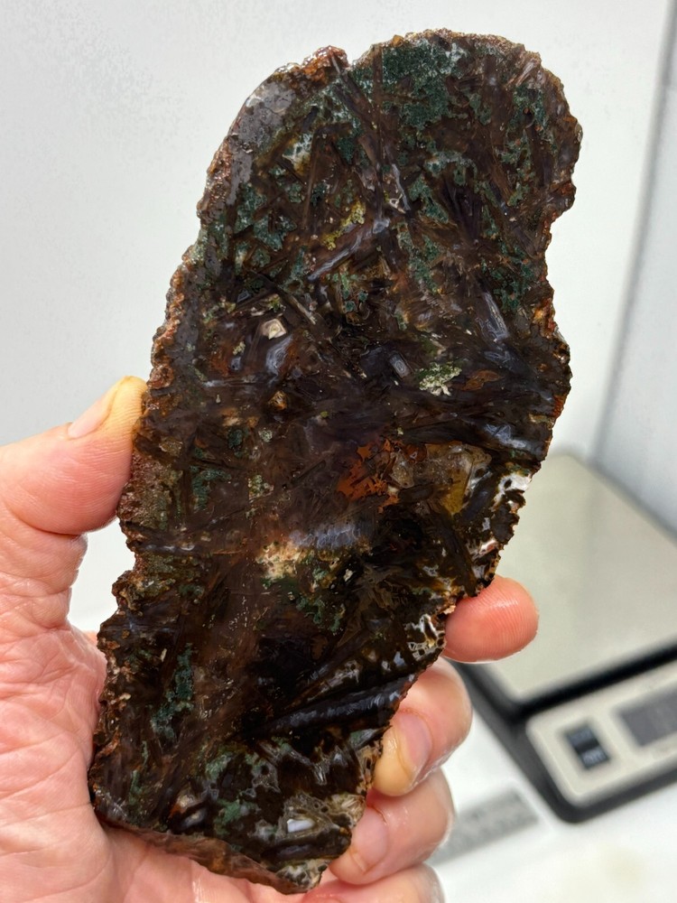 Turkish Stick Agate slab Cabbing Lapidary Collecting Combo Ship aval