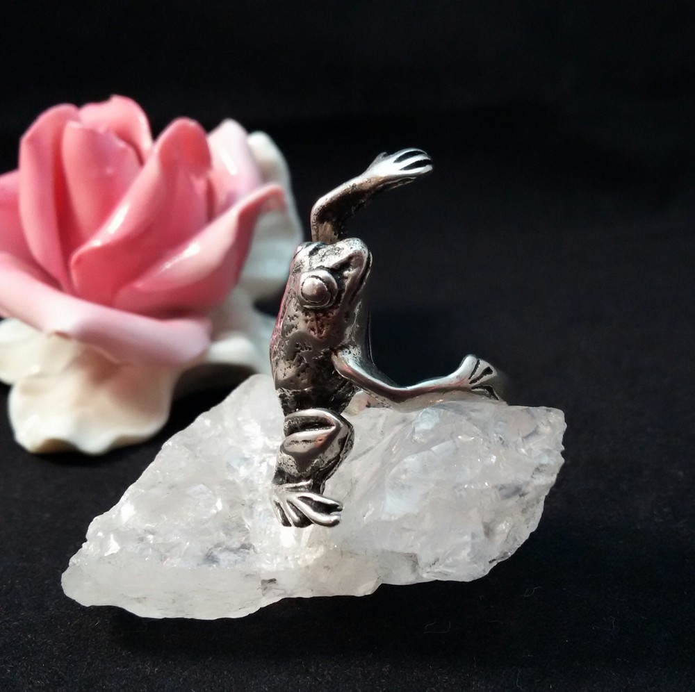 Ring Silver 925 Frog Size 53 (16.8mm Dia)