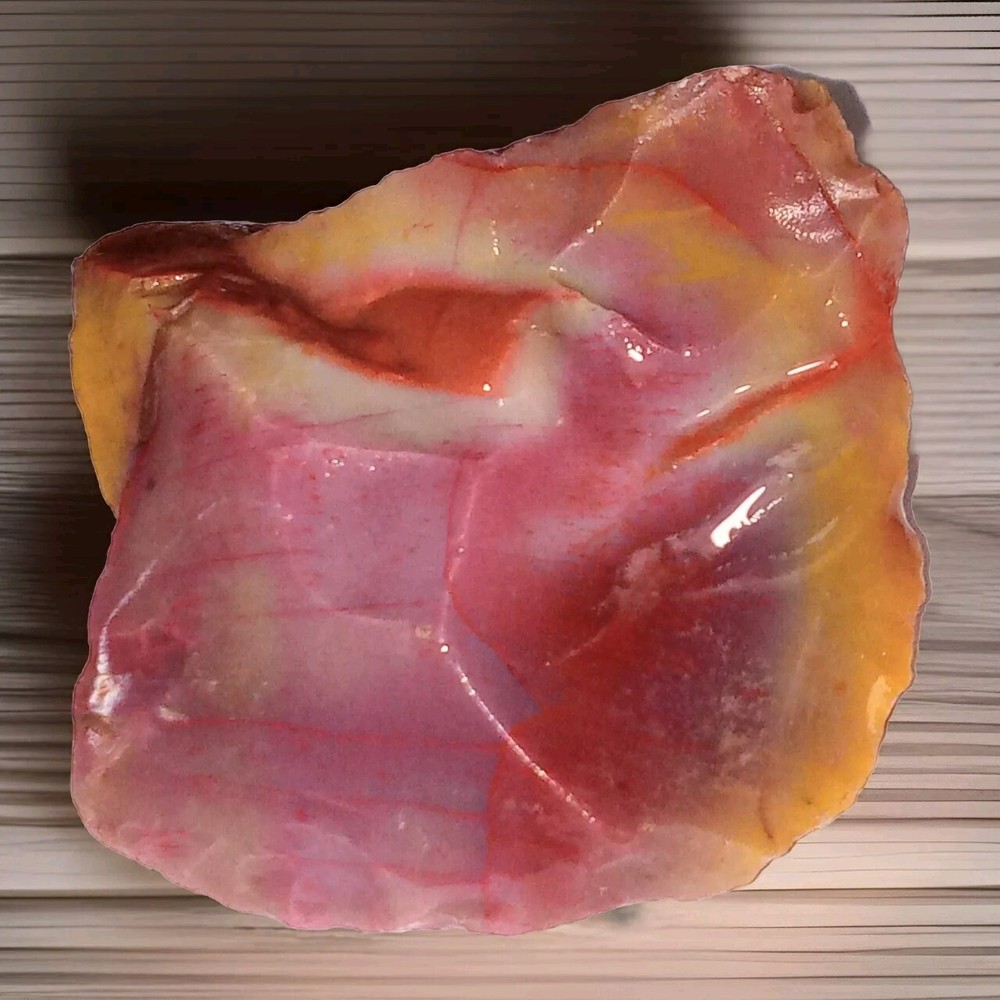 Rainbow Petrified Wood Small Rough Specimen 56g