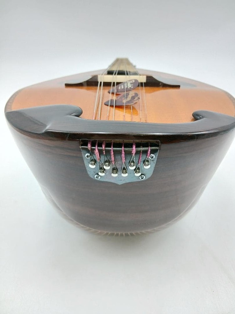 Suzuki violin mandolin with hard case