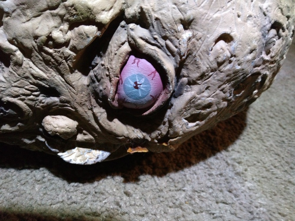 Zombie Movie Prop Face And Head.