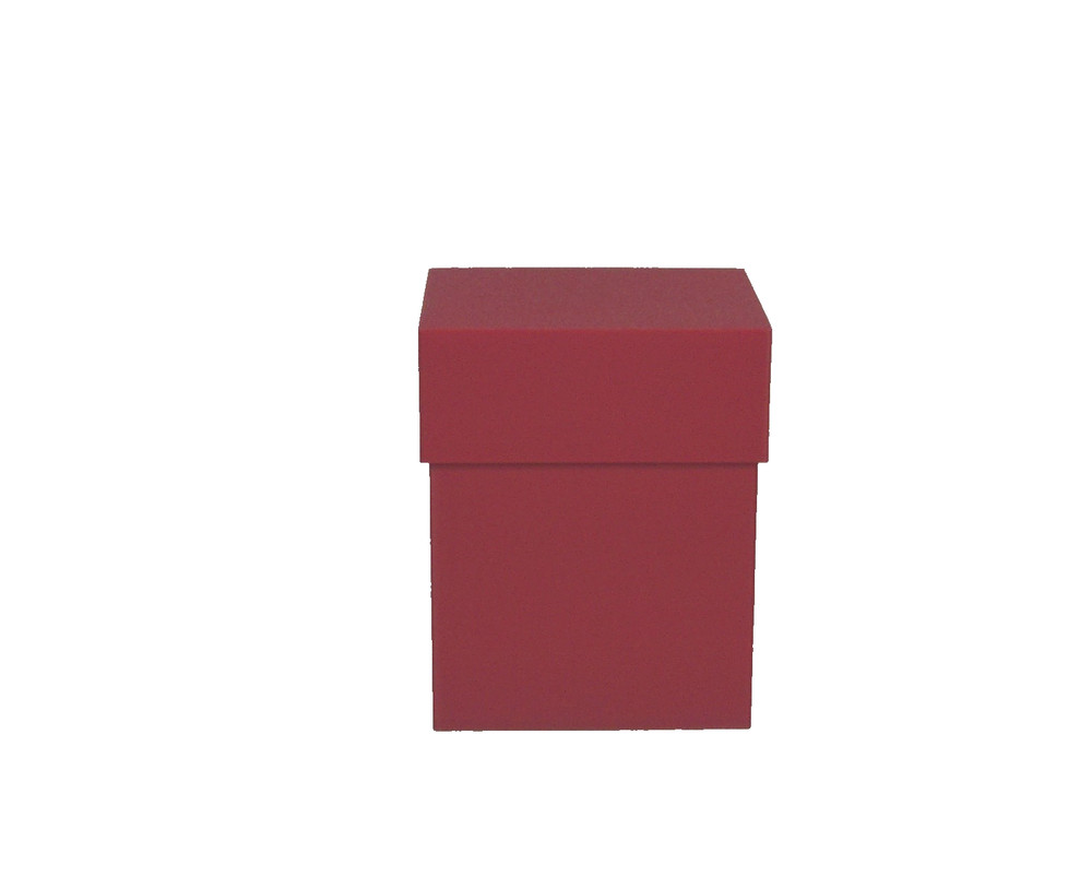 TCG Deck Box 100 Card Capacity - Solid Red