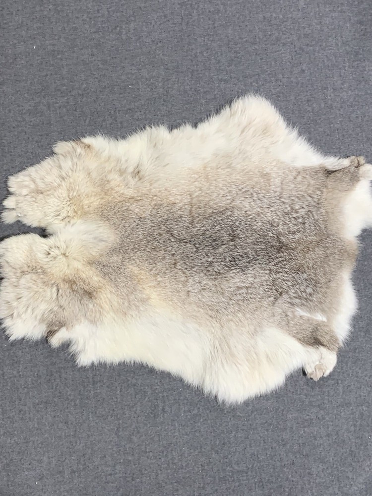 Printed Rabbit Pelt: Big Horn Sheep