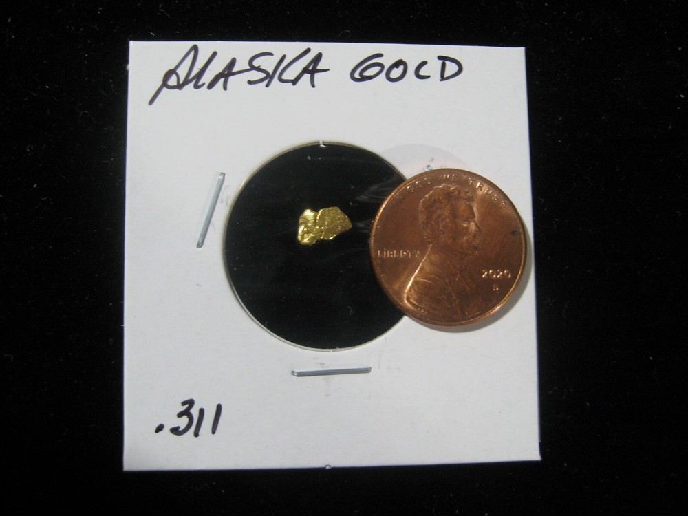 ALASKA GOLD .311 GRAM