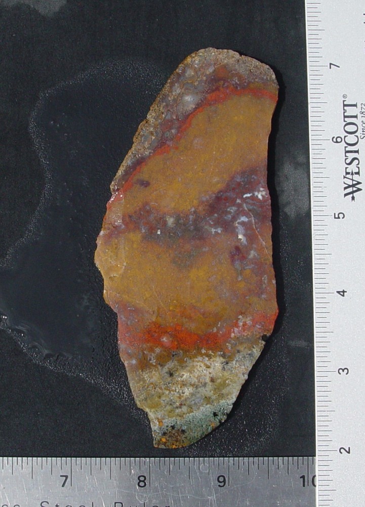 Macaw Agate from Mexico Lapidary Slab T721