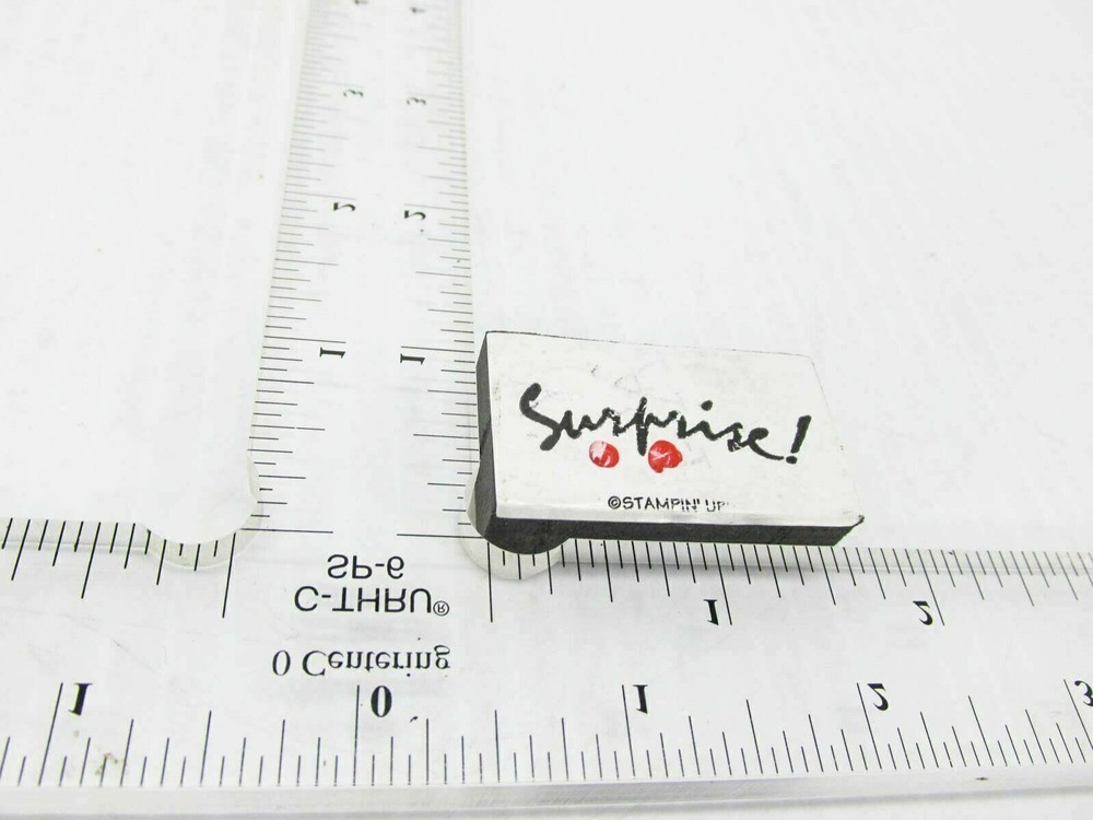 Surprise Rubber Stamp - Stamp Set C32