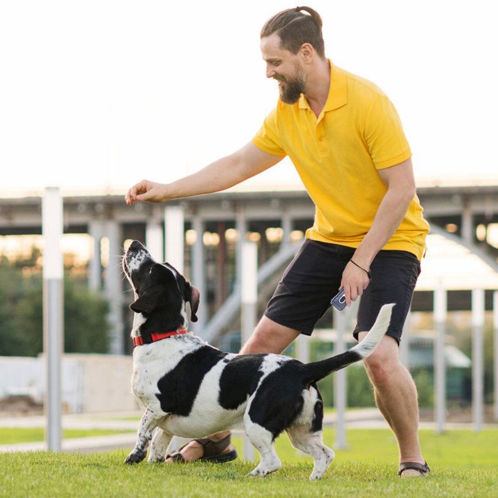 4 Mode Training Anti Barking Device Ultrasonic Dog Training Bark Control Device