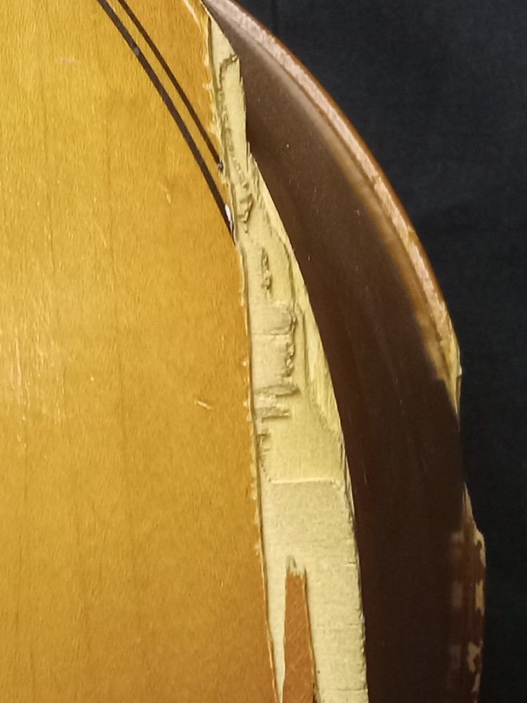 Engelhardt E5534 1/2 cello serial 2428 - Natural
