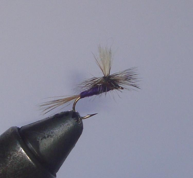 C/A FLIES  PURPLE HAZE  #12 (12)