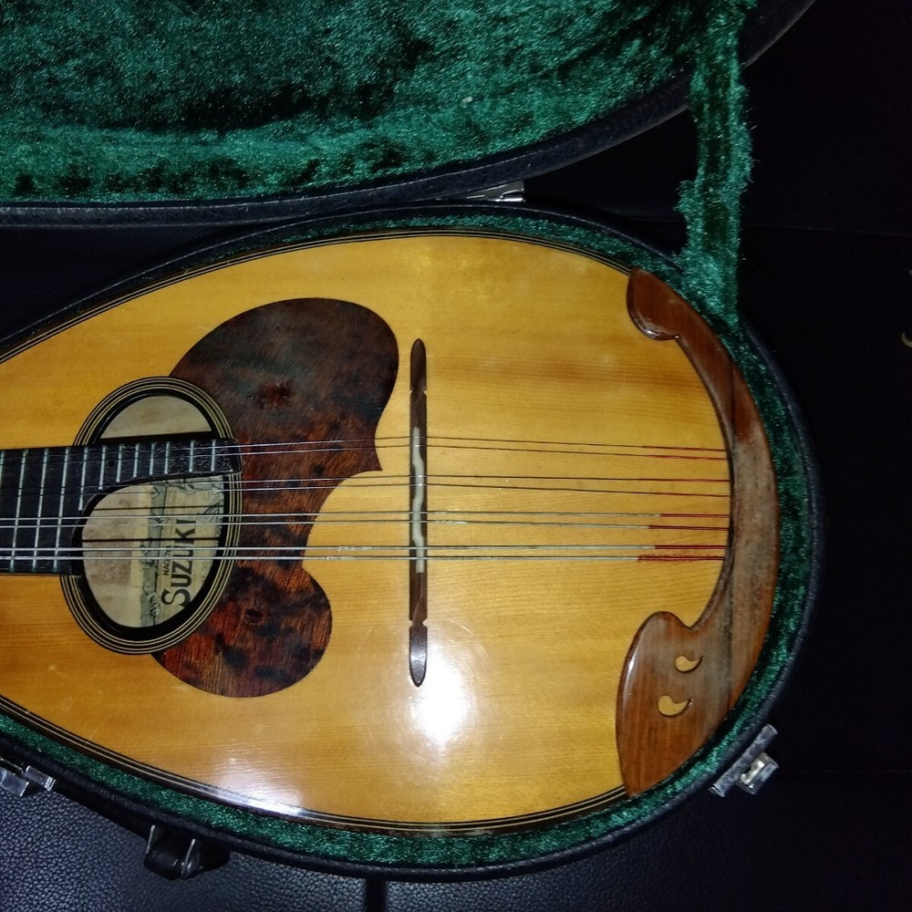 String instrument mandolin with case
