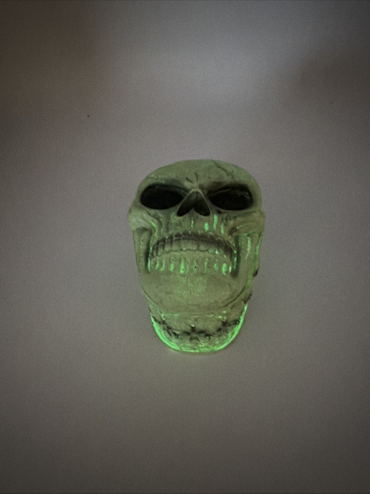 Skull Storage Box