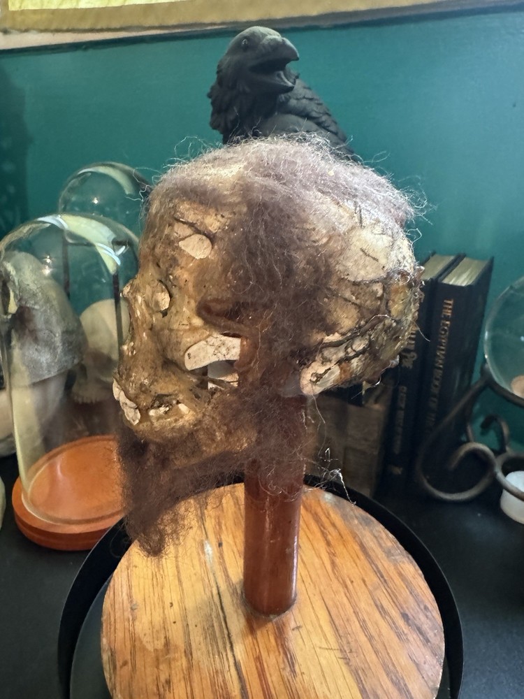 Mummified Leprechaun Skull