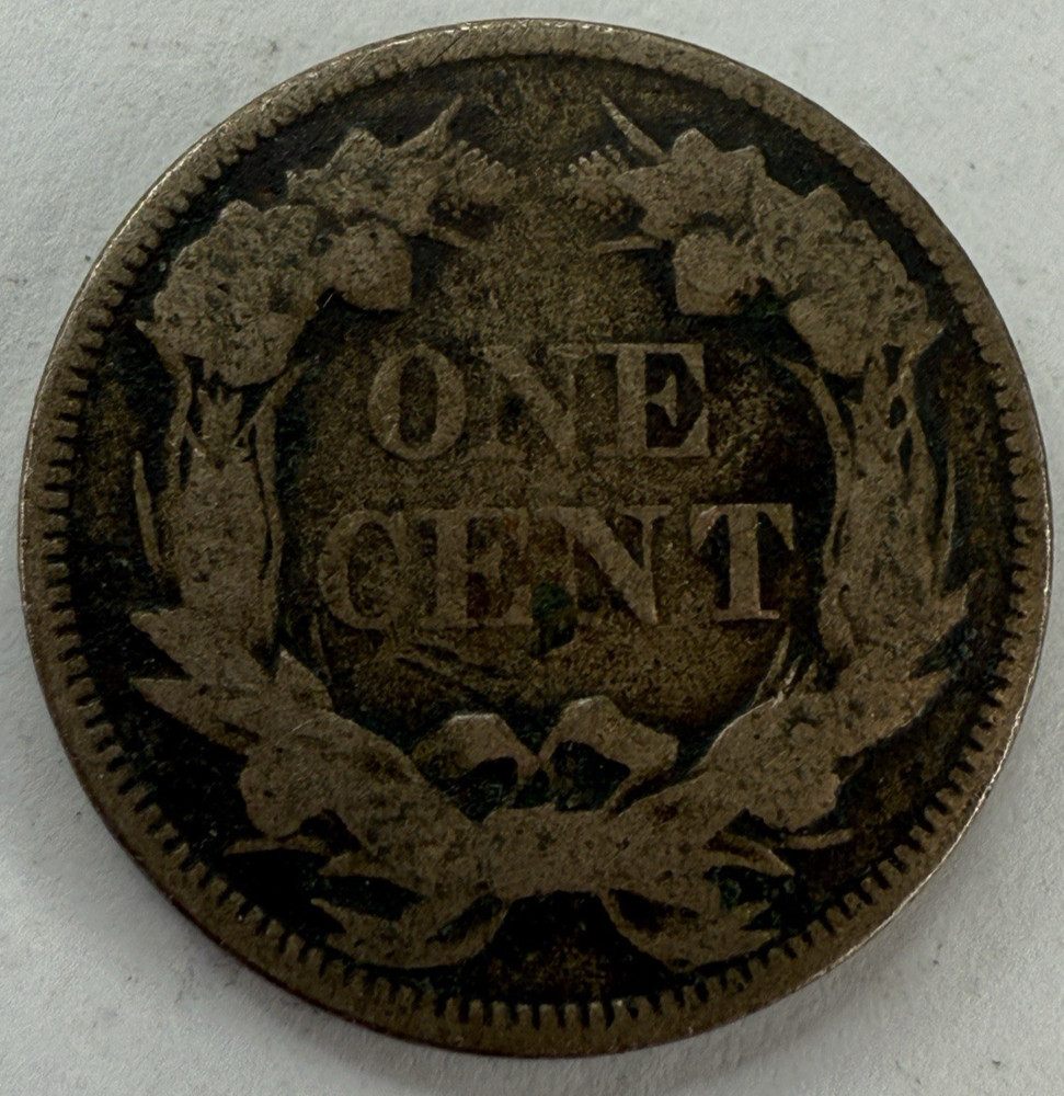 1858 Flying Eagle Cent Exact Coin Imaged #FLY102