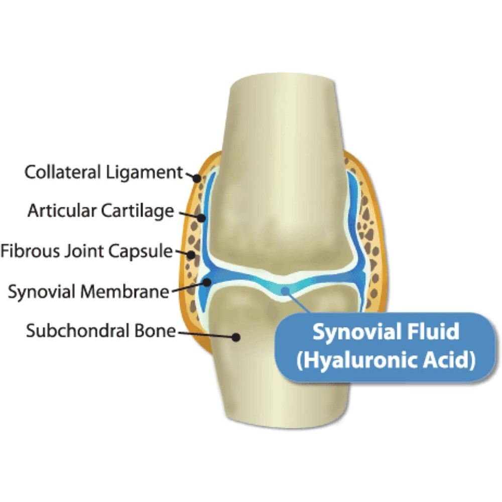 Hyalogic HylaRub Joints & Muscles, 6 Ounces
