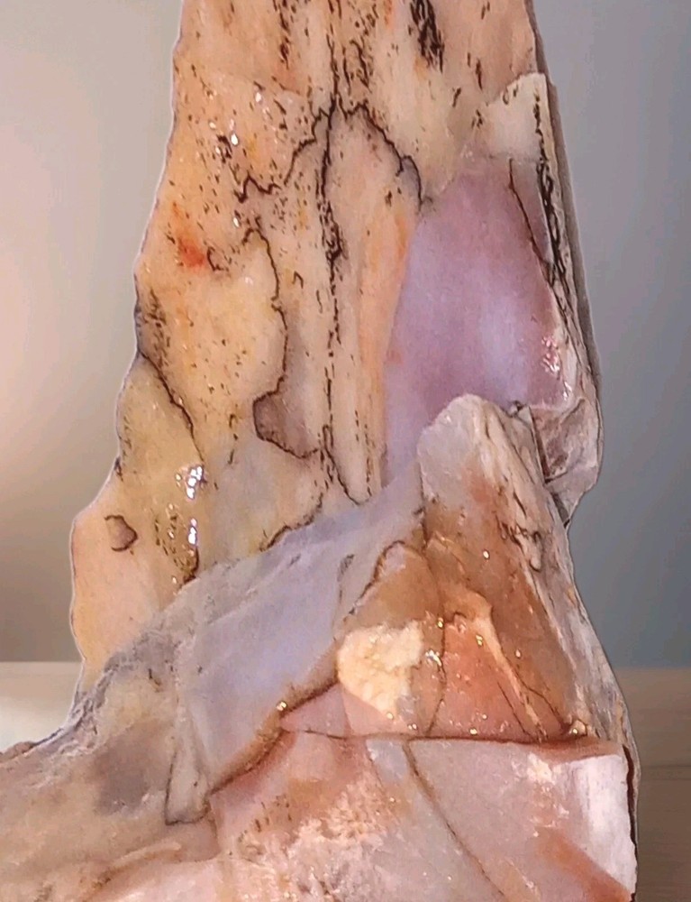 Petrified Agatized Opalized Rainbow Wood Rough AZ 9 oz