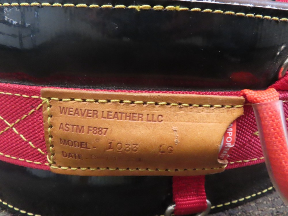 Notch Gecko - Tree Spikes -