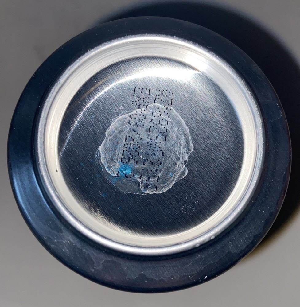 2025 16oz. WELCH’S ENERGY CAN ( GHOST )EMPTY TOP OPENED
