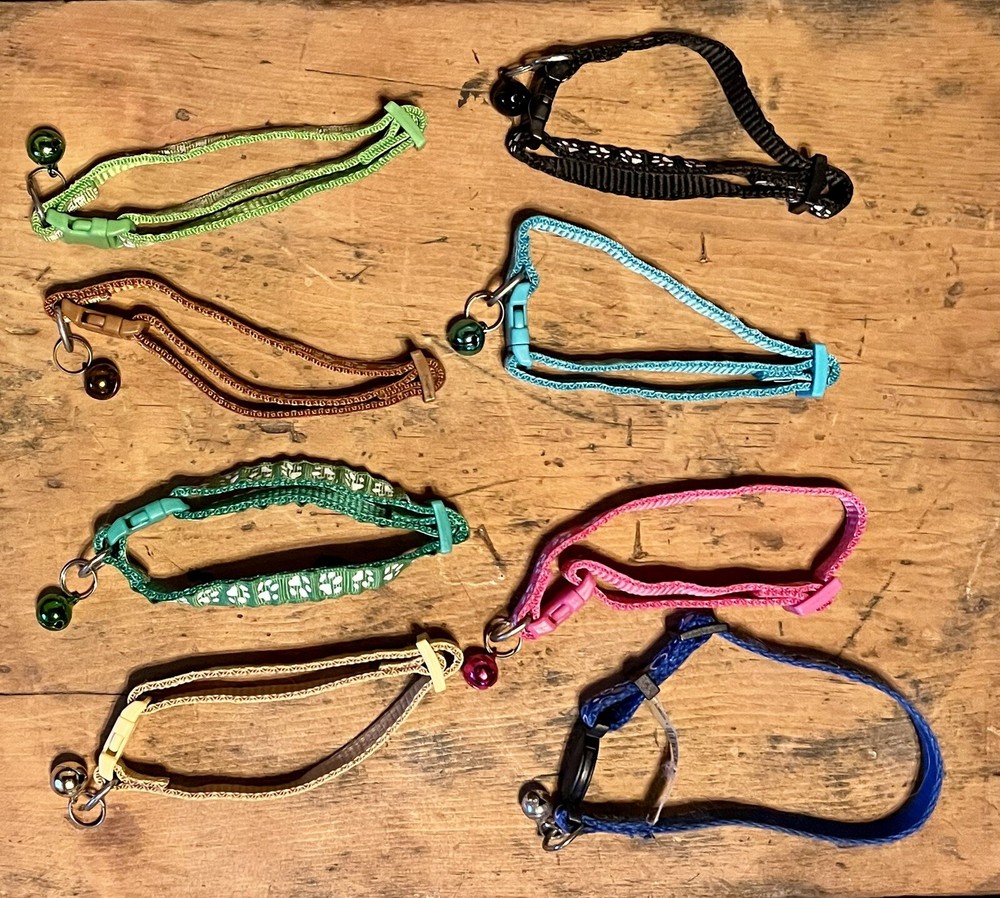 8 Piece-puppy litter collars