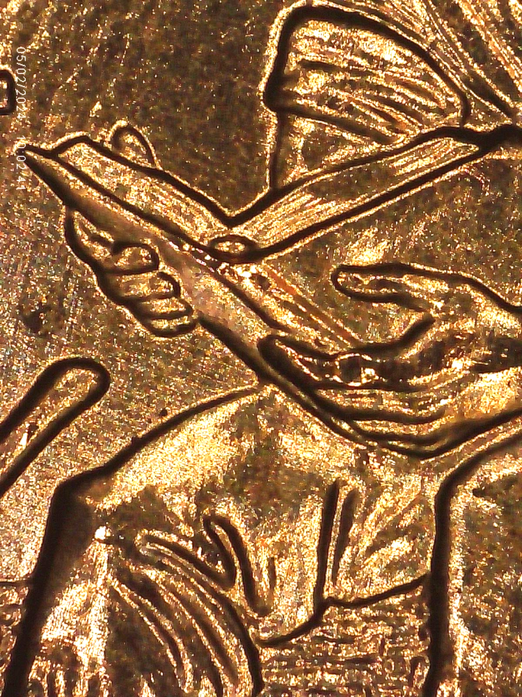 2009 P BU FY DOUBLED DIE REVERSE ERROR WDDR-010