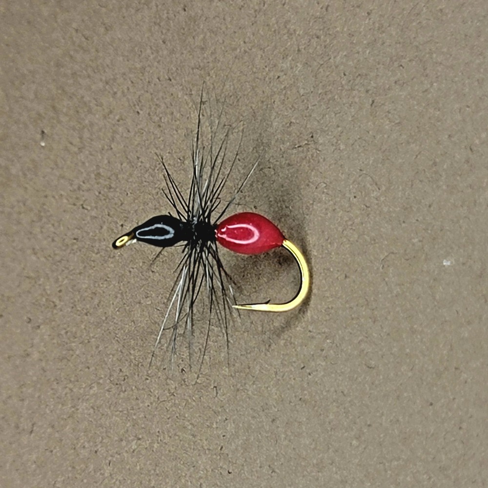 Black Flying Ant | Size #12
