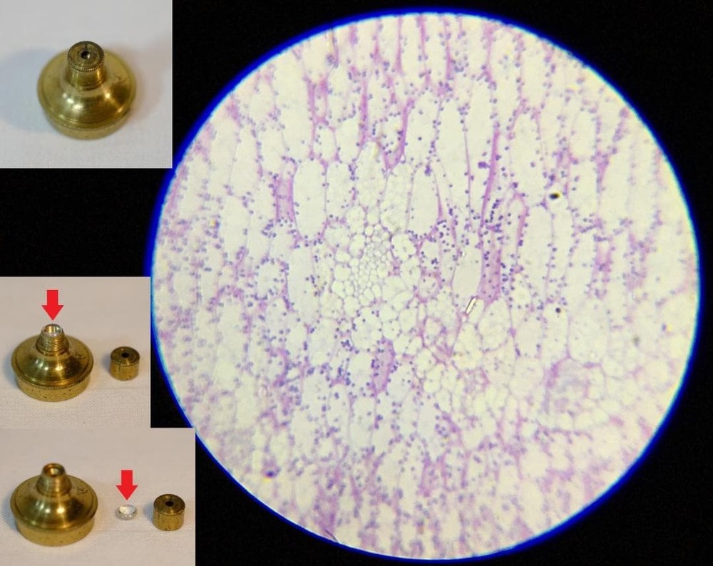 microscope antique John Richardson's cuff microscope