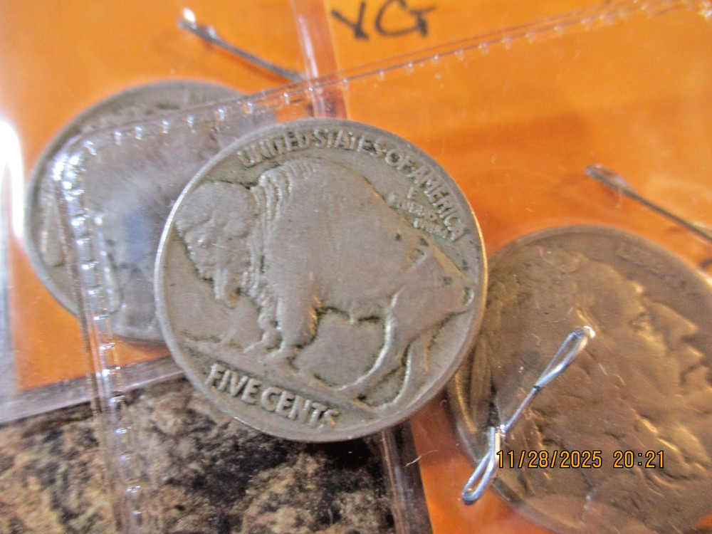1920 BUFFALO NICKELS VG X
