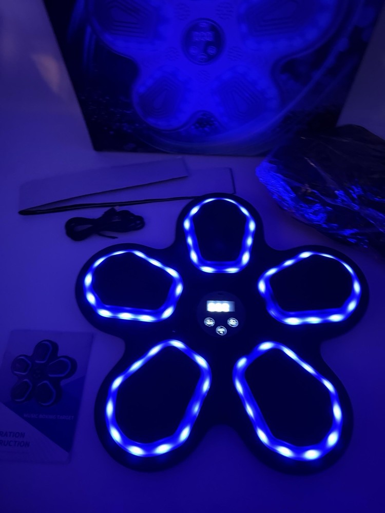Music Boxing Target With Gloves LED Wall Mount Training Game