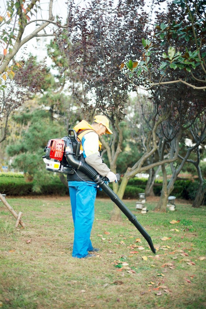 52CC 2-stroke Gas Backpack Blower with extention tube