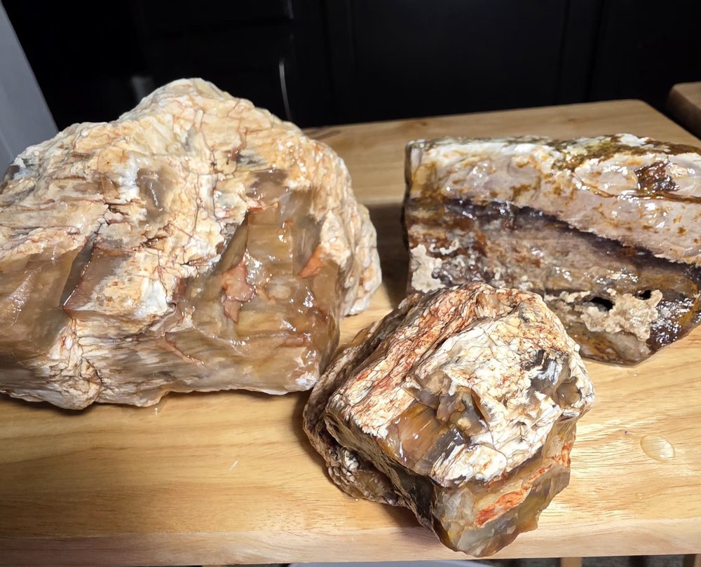 agatized petrified wood 3pc. Lot