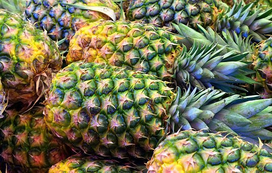Pineapple fruit powder 10lb PAJE Immune system support, Bone strength