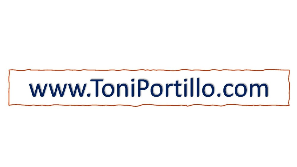 ToniPortillo.com Domain Name Registered at 1and1.com