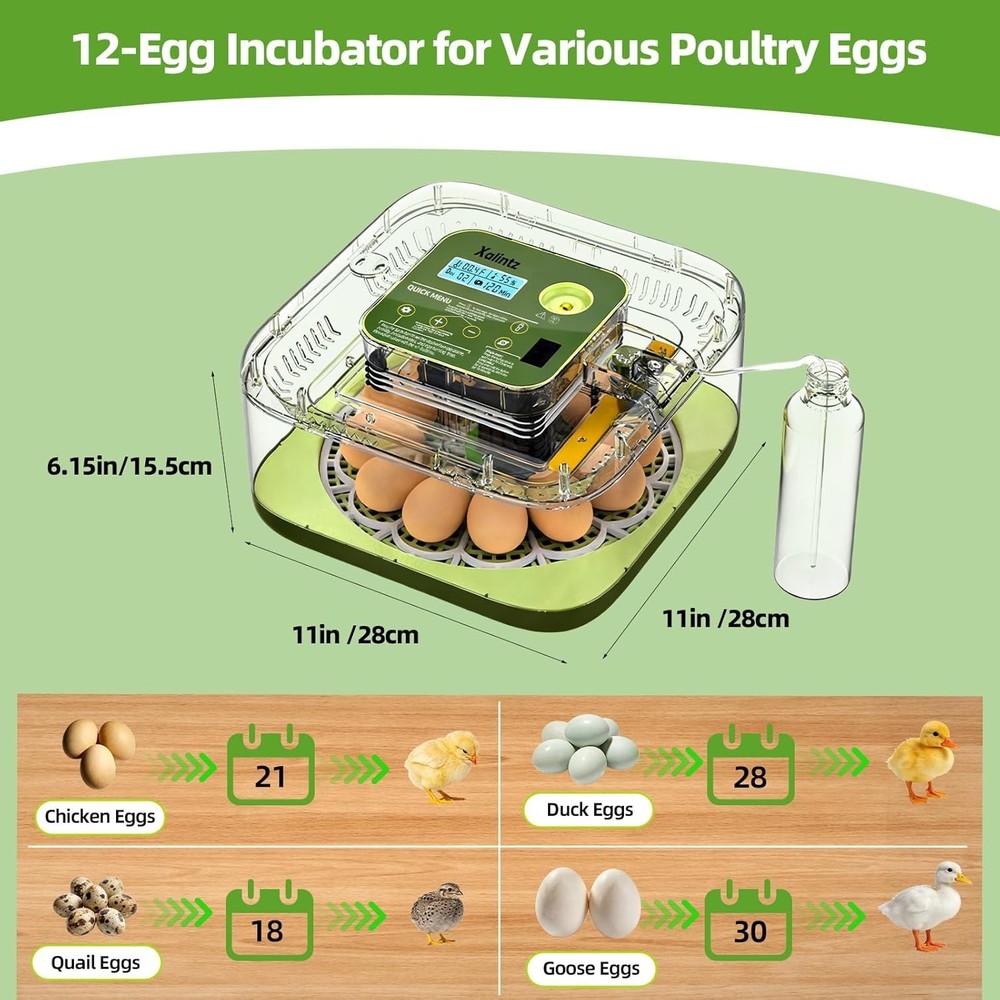 Automatic 12 Egg Incubator - Digital Temperature/Humidity Display, Hatch Day ...