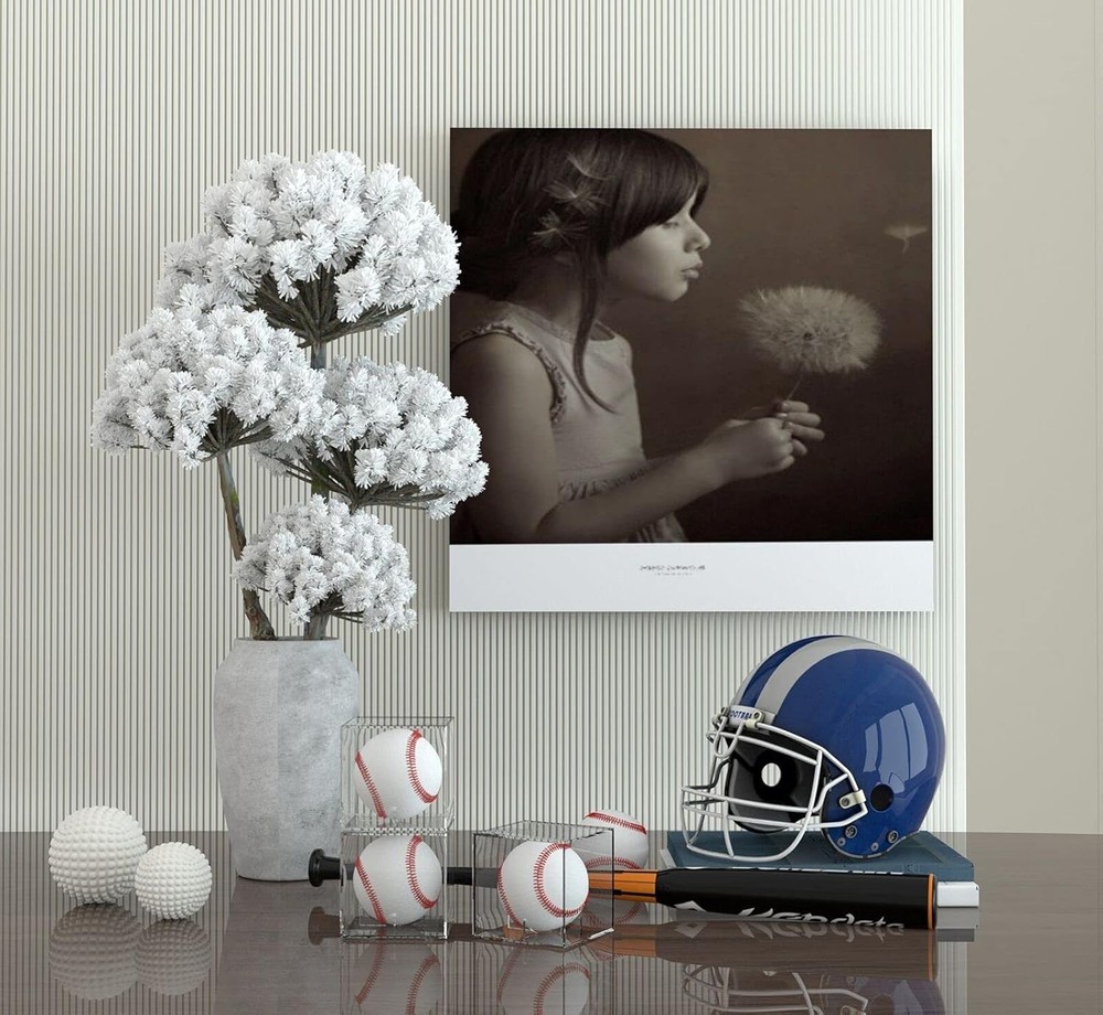 4 Pack Baseball Display Case UV Protected Acrylic FOUR PACK, Clear-4