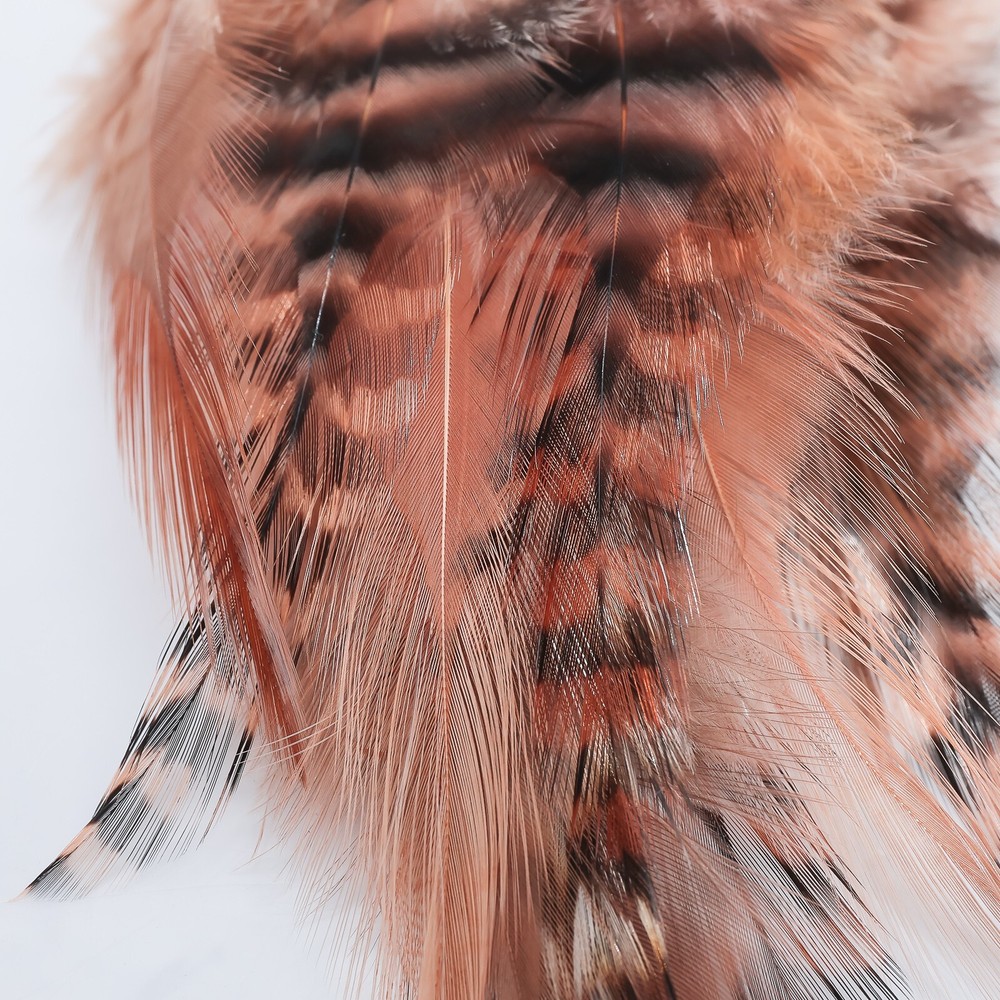 Metz Feathers Tailing Bundle - Perdigon Pack