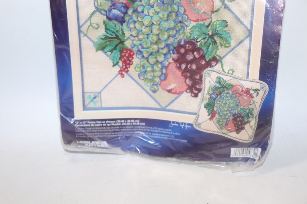 NEW Unused Needlepoint Canvas & Floss – Summer Fruit Printed Design